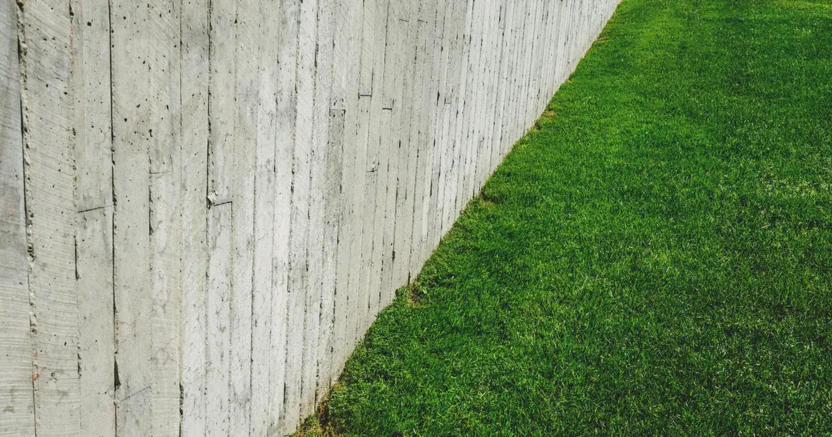 Wooden fence beside a green lawn before pressure cleaning