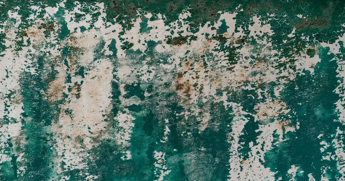 Green algae growth on painted exterior siding before cleaning