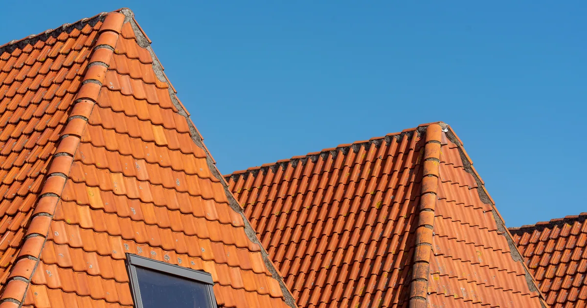 Tile roof under a clear blue Florida sky before roof cleaning