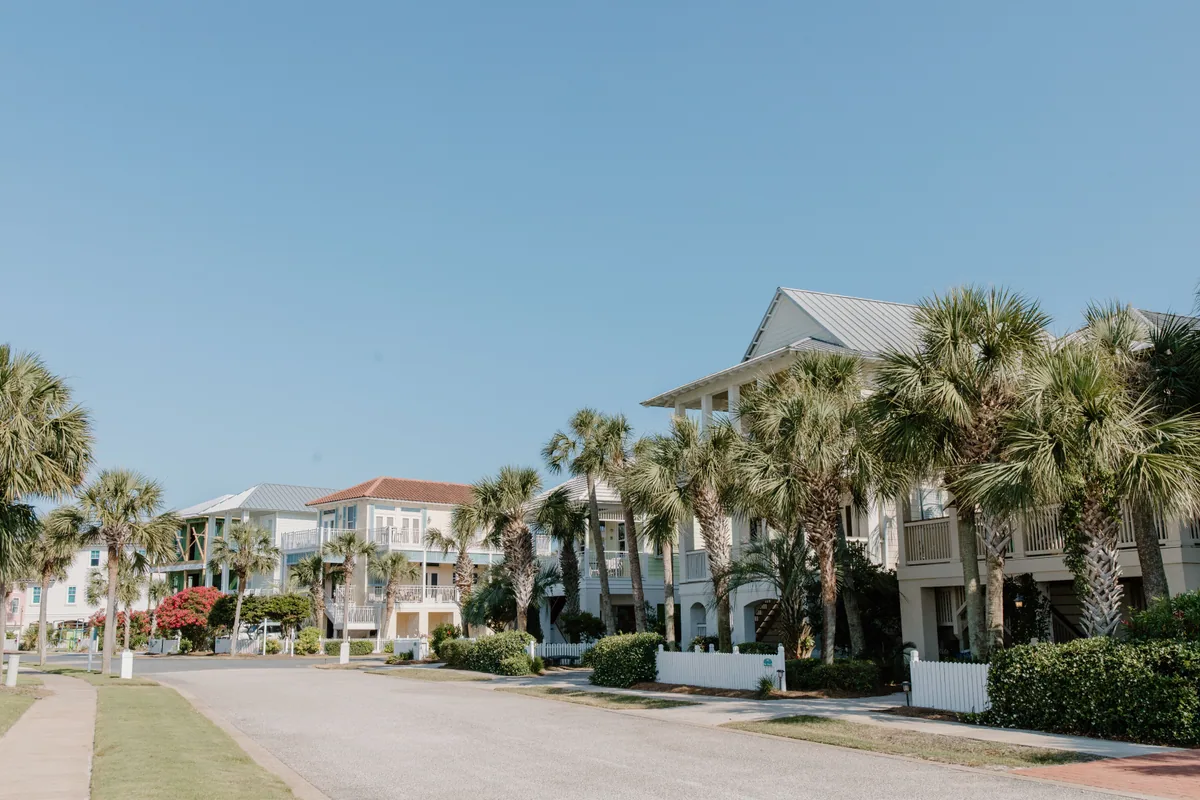 Palm-lined suburban street of modern homes in St. Johns FL 32259