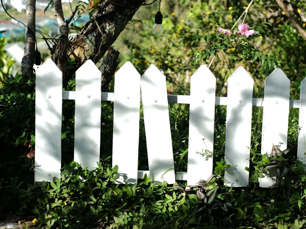 Painted timber fence cleaned on both faces at wood-safe pressure in Eagle Harbor, Orange Park, Florida